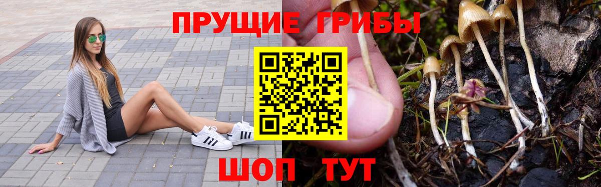 Псилоцибиновые грибы Psilocybine cubensis  Вход с VPN  Заводоуковск  Галлюциногенные грибы Psilocybe 