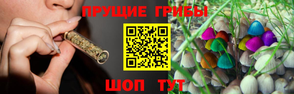 Псилоцибиновые грибы Psilocybine cubensis Заводоуковск